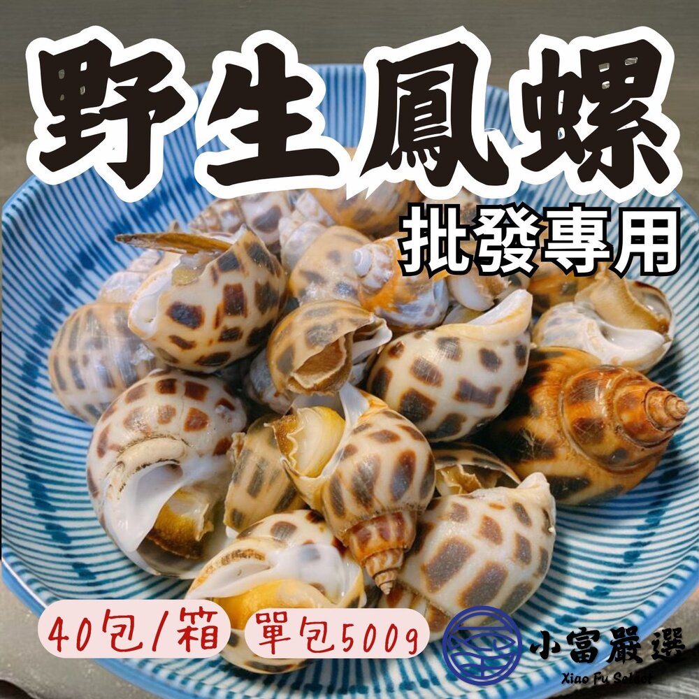 【批發專用】野生鳳螺粒 印度鳳螺 鳳螺 冷凍鳳螺 (40包/箱) 封面照片