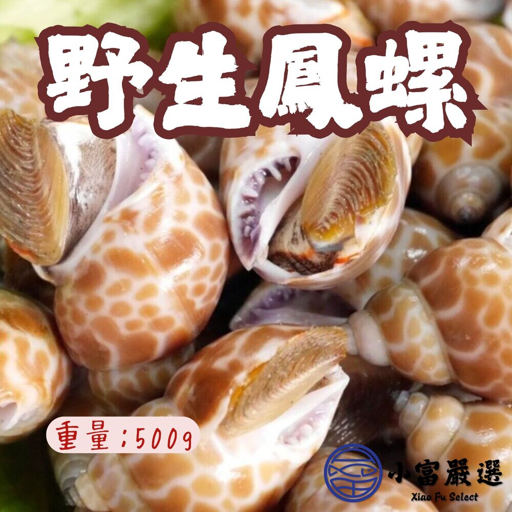 野生鳳螺粒 印度鳳螺 鳳螺 冷凍鳳螺 (500g/包) 封面照片