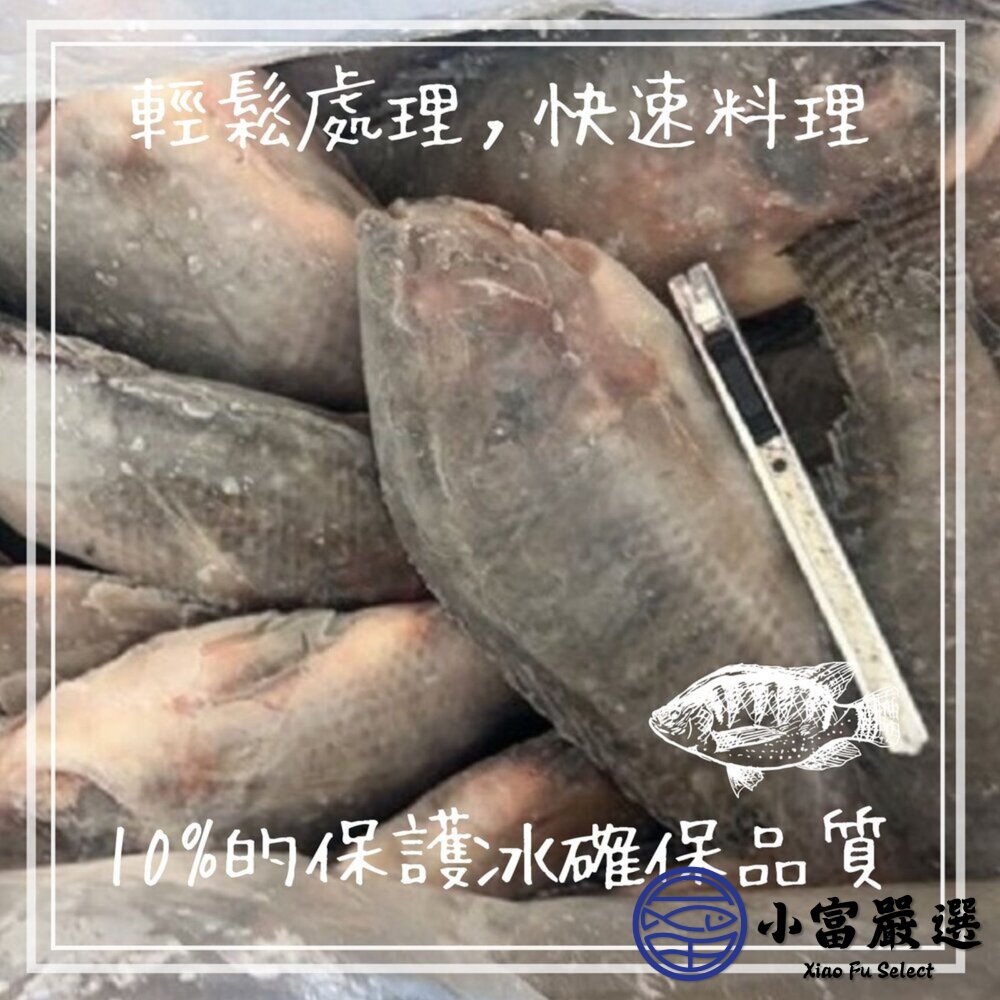 台灣三去吳郭魚 台灣三去台灣鯛 重量500/600g 包10%保護冰-圖片-3