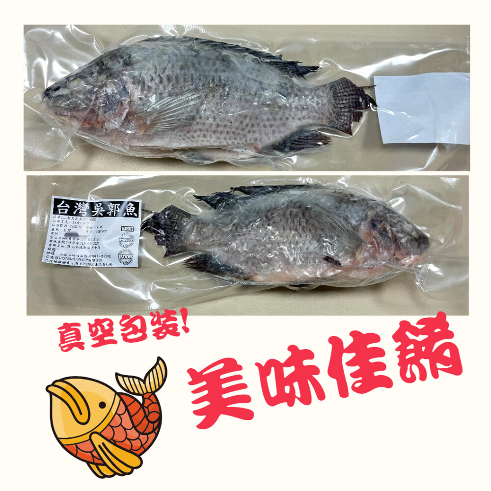 25083141122-0093小富嚴選海鮮鯛魚類-台灣三去吳郭魚-台灣三去台灣鯛 重量500/600g 包10%保護冰 特價販售中 特價99