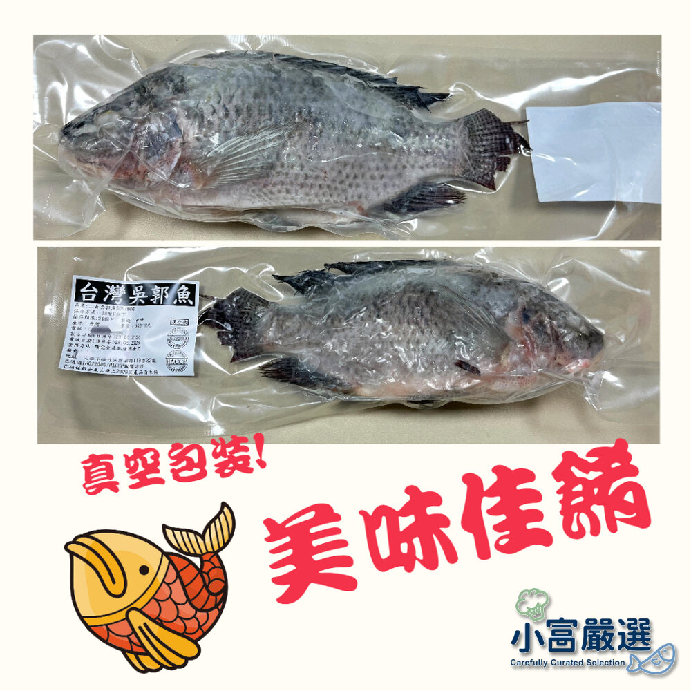25083141122-海鮮鯛魚類-台灣三去吳郭魚-台灣三去台灣鯛 重量500/600g 包10%保護冰 特價販售中 特價中