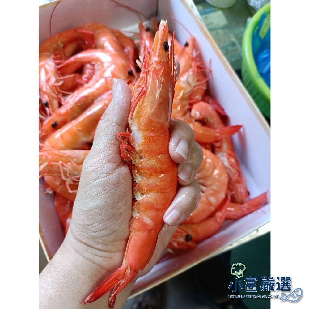 25115300719-0255小富嚴選生熟白蝦-熟白蝦1000g-20/30 超級大隻的 顏色超級漂亮 要買要快喔 降價搶市549  歡迎餐飲