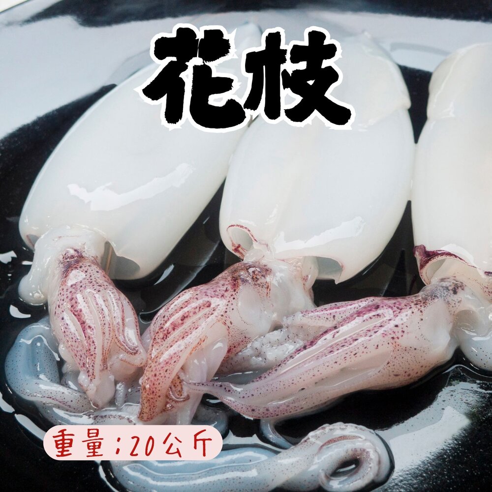 251228000414-鮮甜野生急凍二去花枝 200/300、300/400、400/500、500/600 四種規格 特價中 (20公斤/箱)