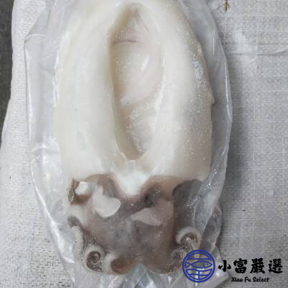 鮮甜野生急凍二去花枝 200/300、300/400、400/500、500/600 四種規格 特價中 (20公斤/箱)-圖片-1