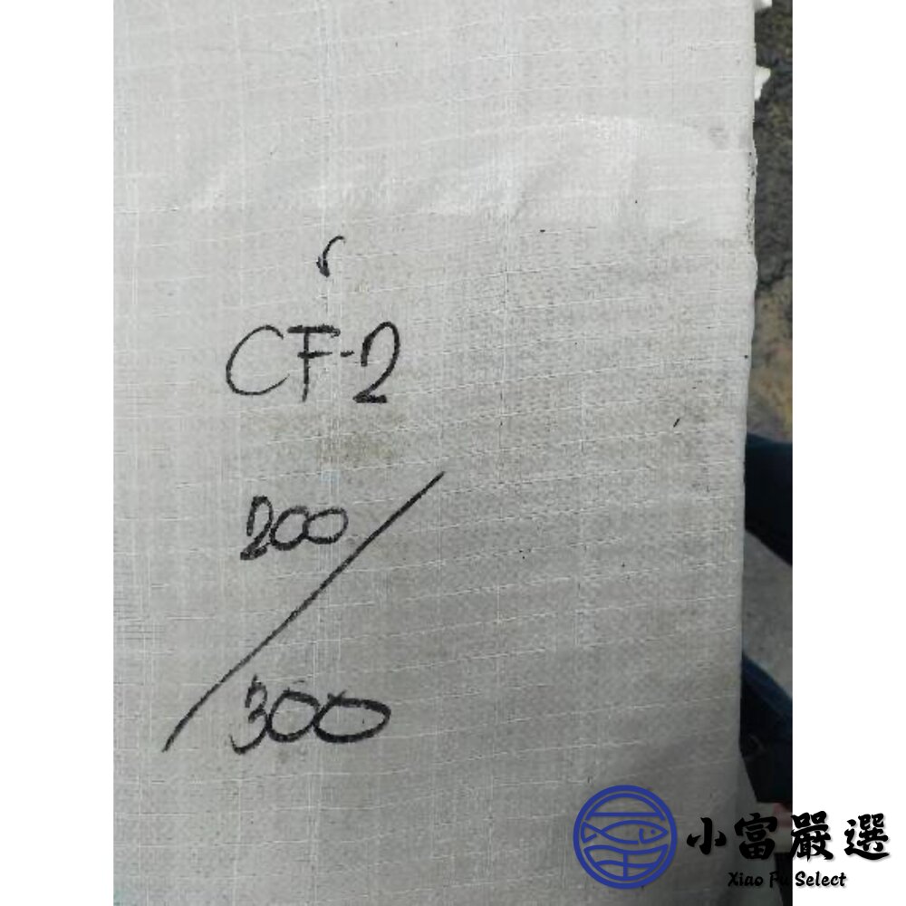 鮮甜野生急凍二去花枝 200/300、300/400、400/500、500/600 四種規格 特價中 (20公斤/箱)-圖片-6