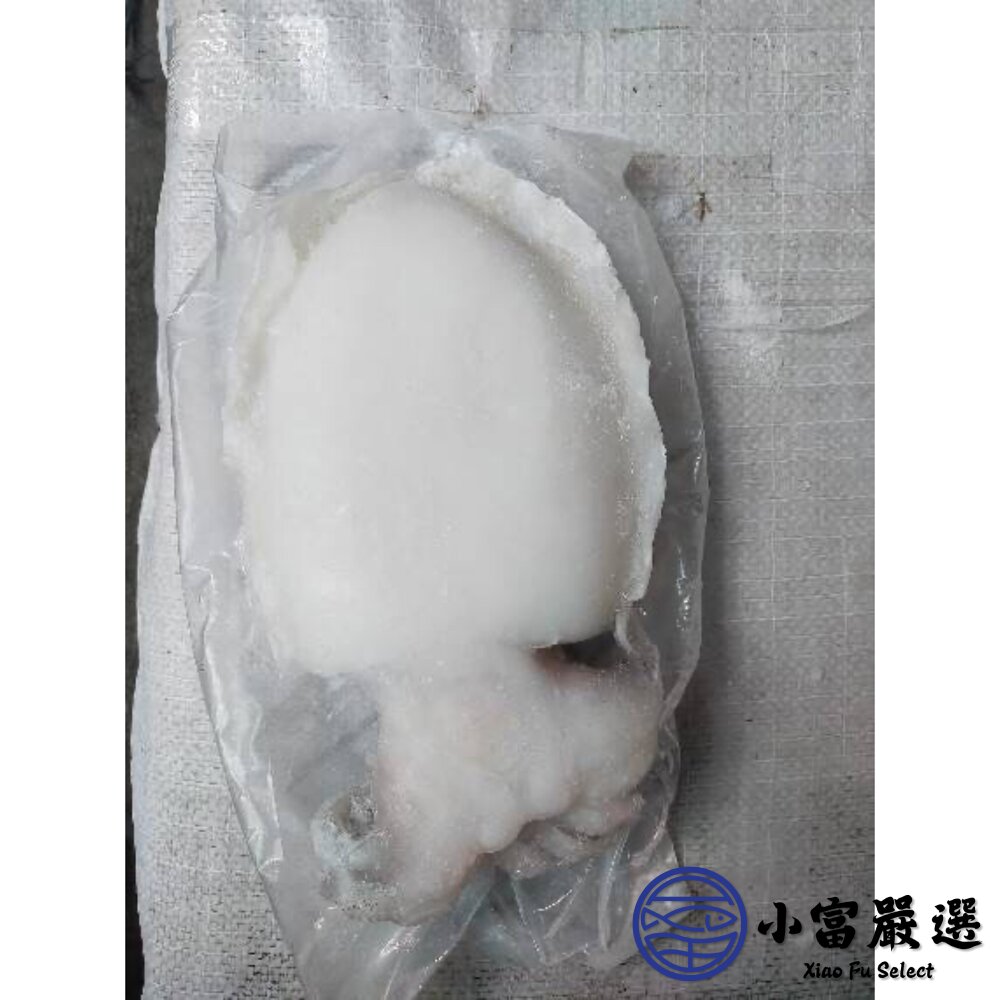 鮮甜野生急凍二去花枝 200/300、300/400、400/500、500/600 四種規格 特價中 (20公斤/箱)-圖片-8