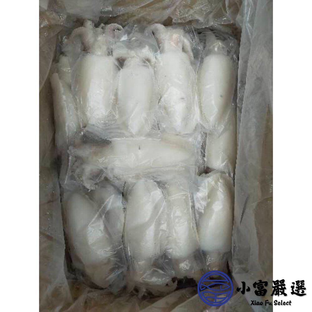 鮮甜野生急凍二去花枝 200/300、300/400、400/500、500/600 四種規格 特價中 (20公斤/箱)-圖片-9