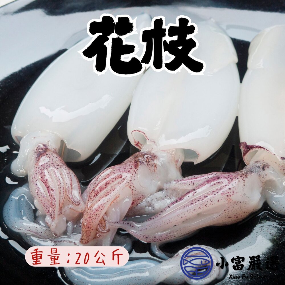 鮮甜野生急凍二去花枝 200/300、300/400、400/500、500/600 四種規格 特價中 (20公斤/箱) 封面照片