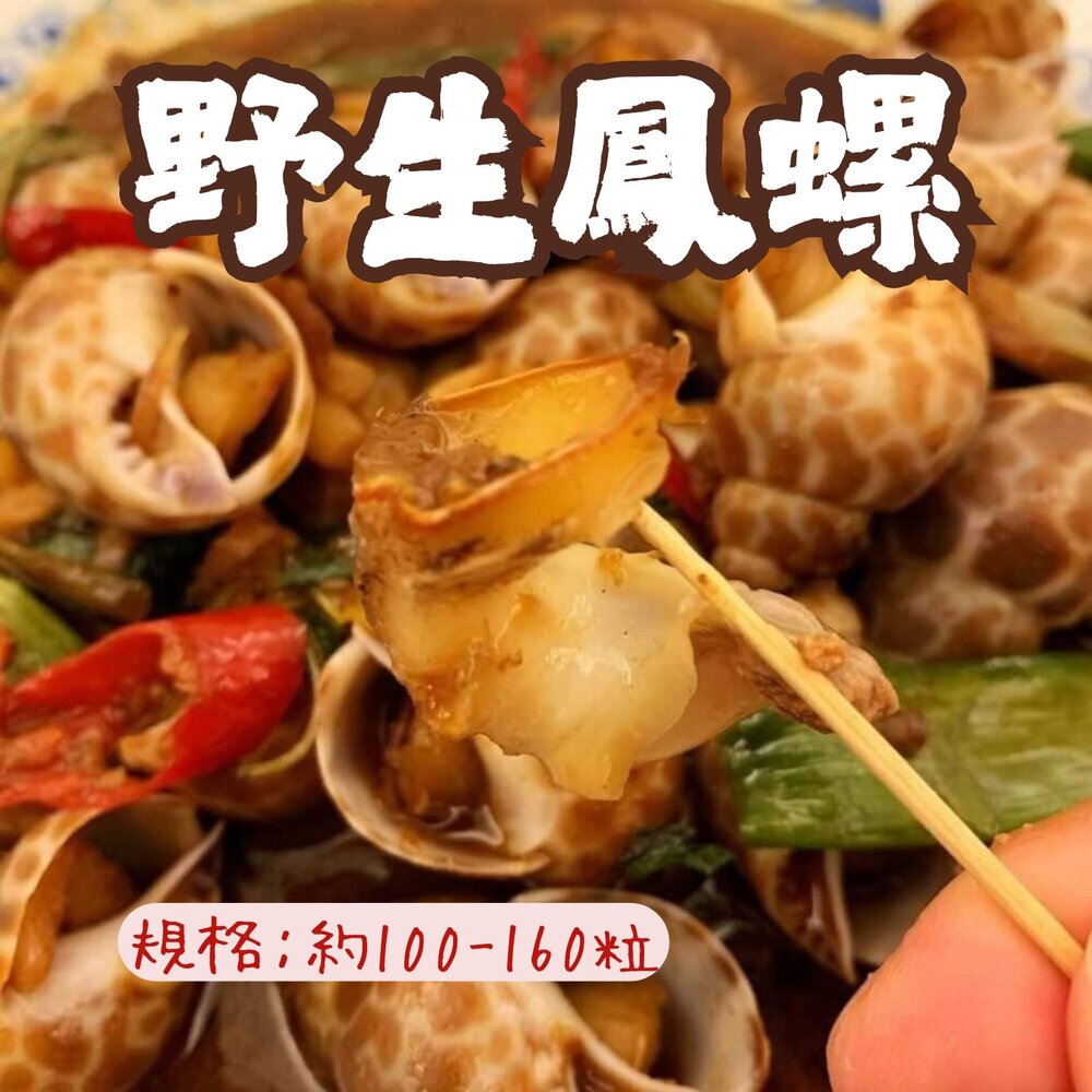 25816016461-野生鳳螺粒 印度鳳螺 熟鳳螺 (2kg/包)最好規格50/80