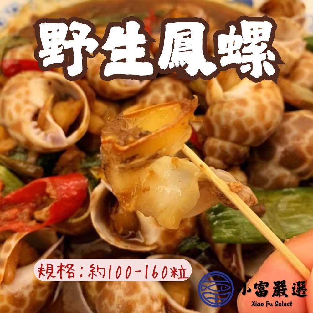 25816016461-野生鳳螺粒 印度鳳螺 野生鳳螺粒 生鳳螺 (2kg/包)