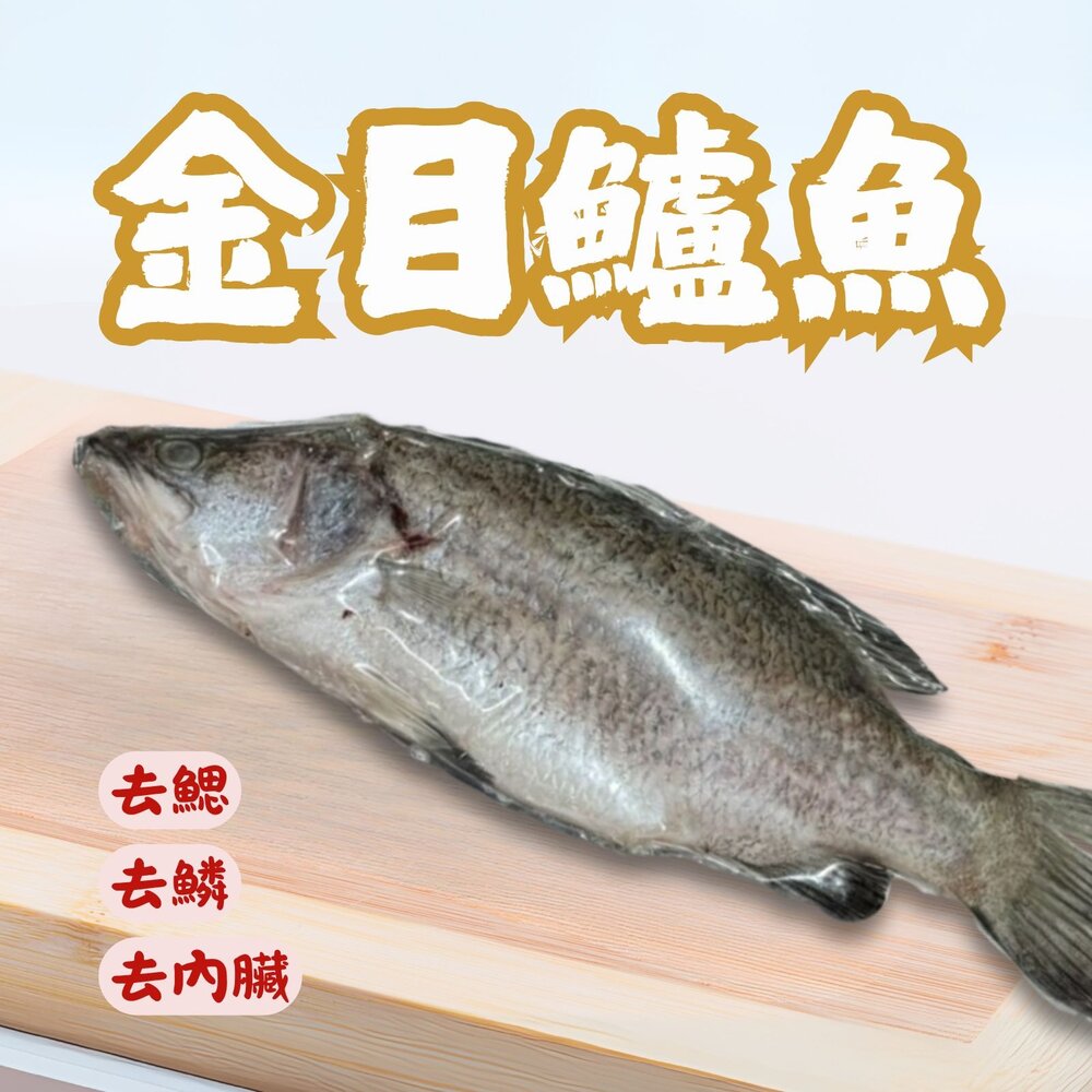 260315064832-本產東石大金目鱸魚300-400g/尾