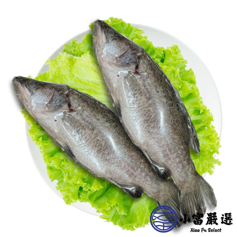 本產東石大金目鱸魚300-400g/尾(三去)-圖片-1