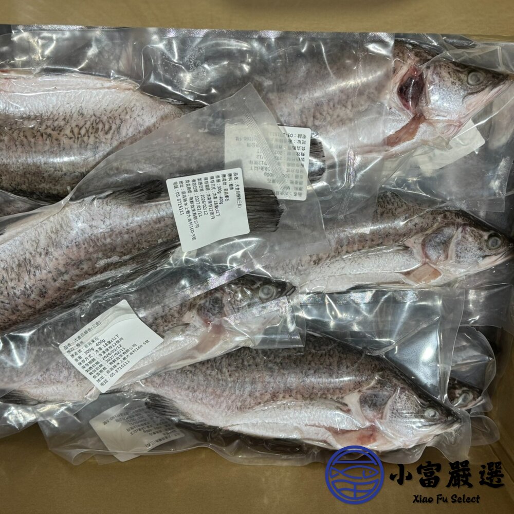 本產東石大金目鱸魚300-400g/尾(三去)-圖片-3