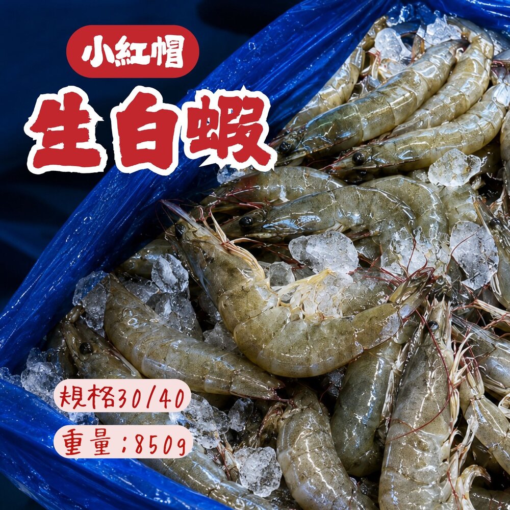 260717001135-急速冷凍頂級白蝦 老品牌 小紅帽 生白蝦 30/40 (850g/盒)