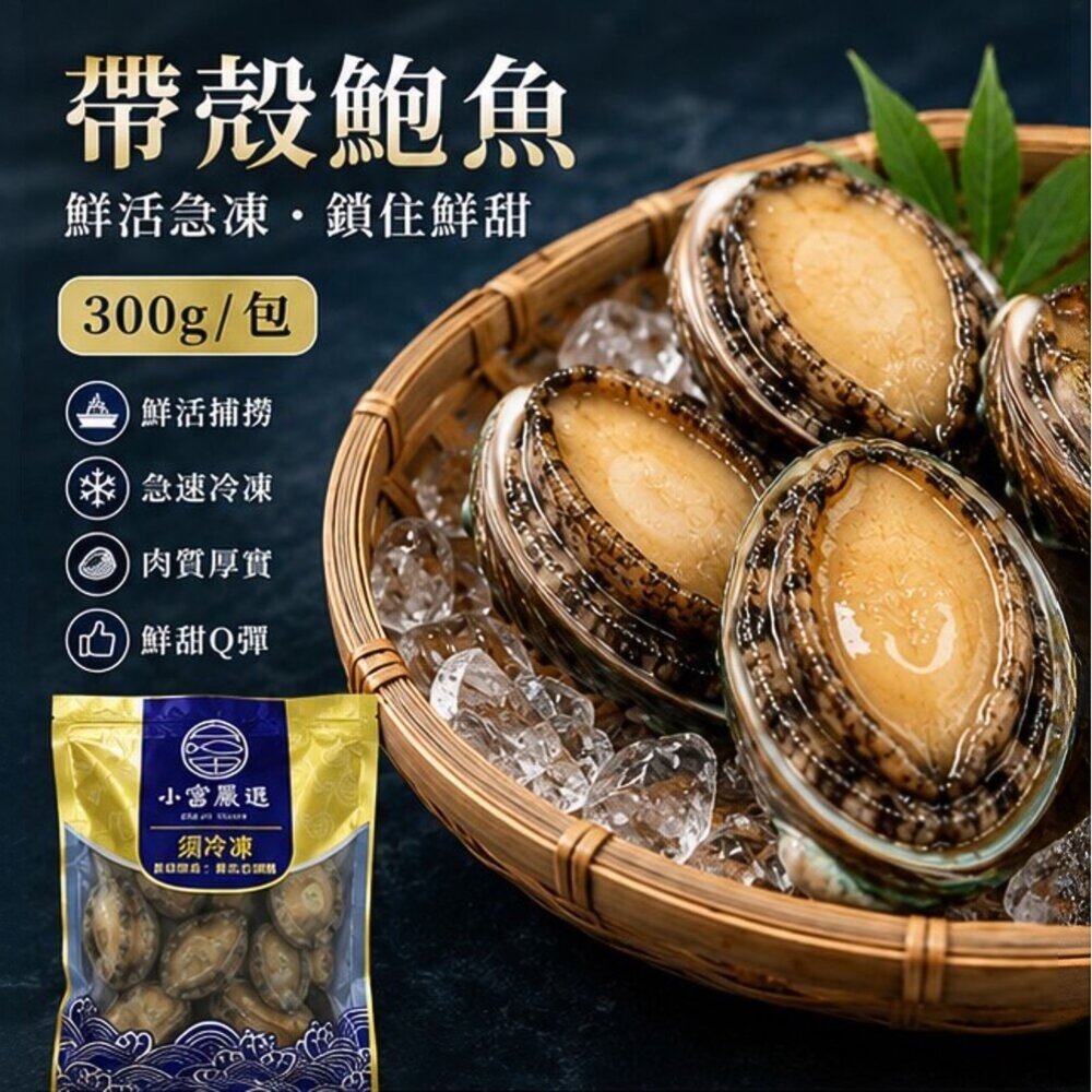 260806214951-頂級帶殼鮑魚 有殼鮑魚 半殼鮑魚 帶殼鮑魚 (300g/包) 帶殼小鮑魚