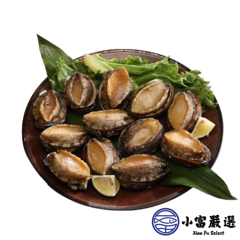 頂級帶殼鮑魚 有殼鮑魚 半殼鮑魚 帶殼鮑魚 (300g/包) 帶殼小鮑魚-圖片-1