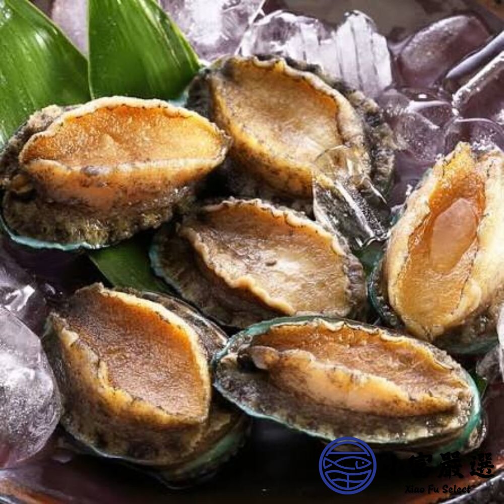 頂級帶殼鮑魚 有殼鮑魚 半殼鮑魚 帶殼鮑魚 (300g/包) 帶殼小鮑魚-圖片-3