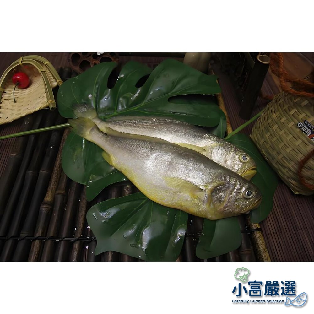 27203460774-666海鮮其他魚類-馬祖黃魚-三去黃魚200/300.300/400.600/700  一夜乾 殺完實重真空包裝