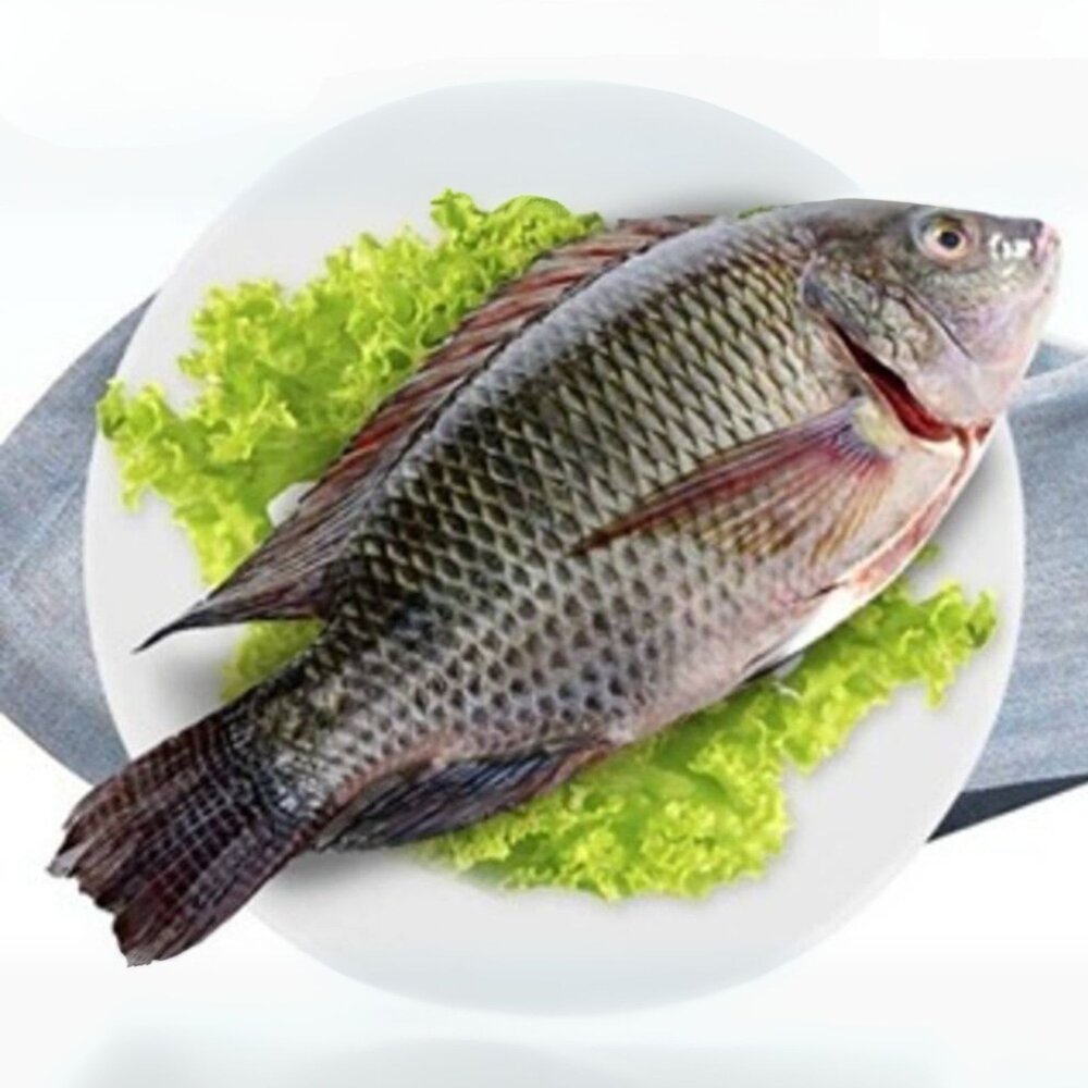 27754870539-台灣鯛魚 吳三去郭魚整尾 三去台灣吳郭魚 台灣鯛 (10kg/約20尾)