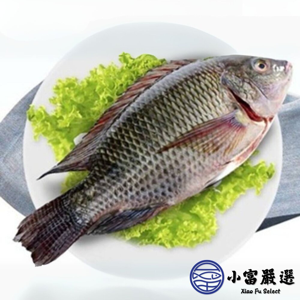 27754870539-台灣鯛魚 吳三去郭魚整尾 三去台灣吳郭魚 台灣鯛 (10kg/約20尾)