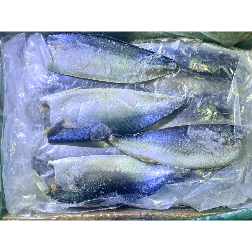 28554692916-0000小富嚴選海鮮鯖魚類-南方澳薄鹽鯖魚片-宜蘭鯖魚片-宜蘭鹹魚6kg裝45-50片特價769另有鮭魚/鱈魚/鮑魚/巴