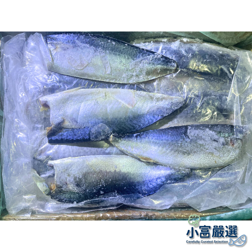 28554692916-海鮮鯖魚類-南方澳薄鹽鯖魚片-宜蘭鯖魚片-宜蘭鹹魚6kg裝