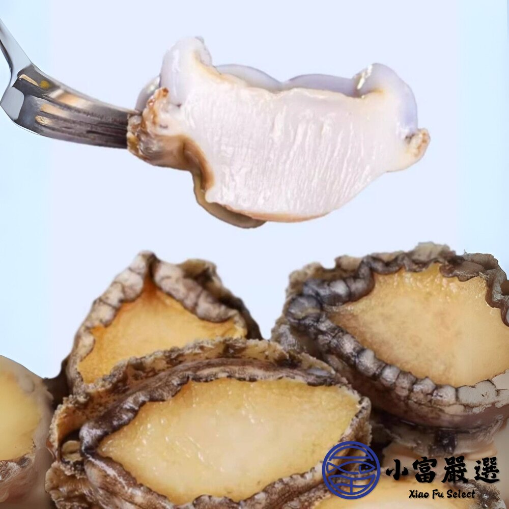 鮑魚清肉 鮑魚 海中珍寶 冷凍鮑魚 (500g/包)-圖片-3