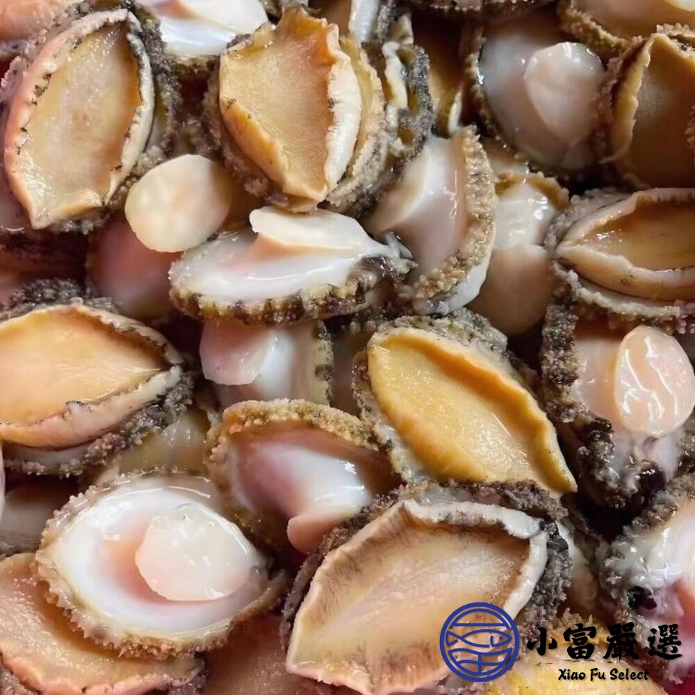 鮑魚清肉 鮑魚 海中珍寶 冷凍鮑魚 (1000g/包) 包冰20%-圖片-5