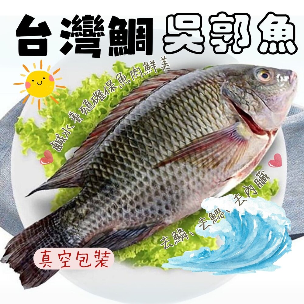 29704635369-台灣三去吳郭魚 台灣鯛 (重量300/400g 包10%保護冰)
