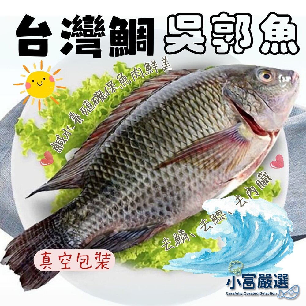 29704635369-海鮮鯛魚類-台灣三去吳郭魚-台灣三去台灣鯛 重量300/400g 包10%保護冰 特價販售中 特價