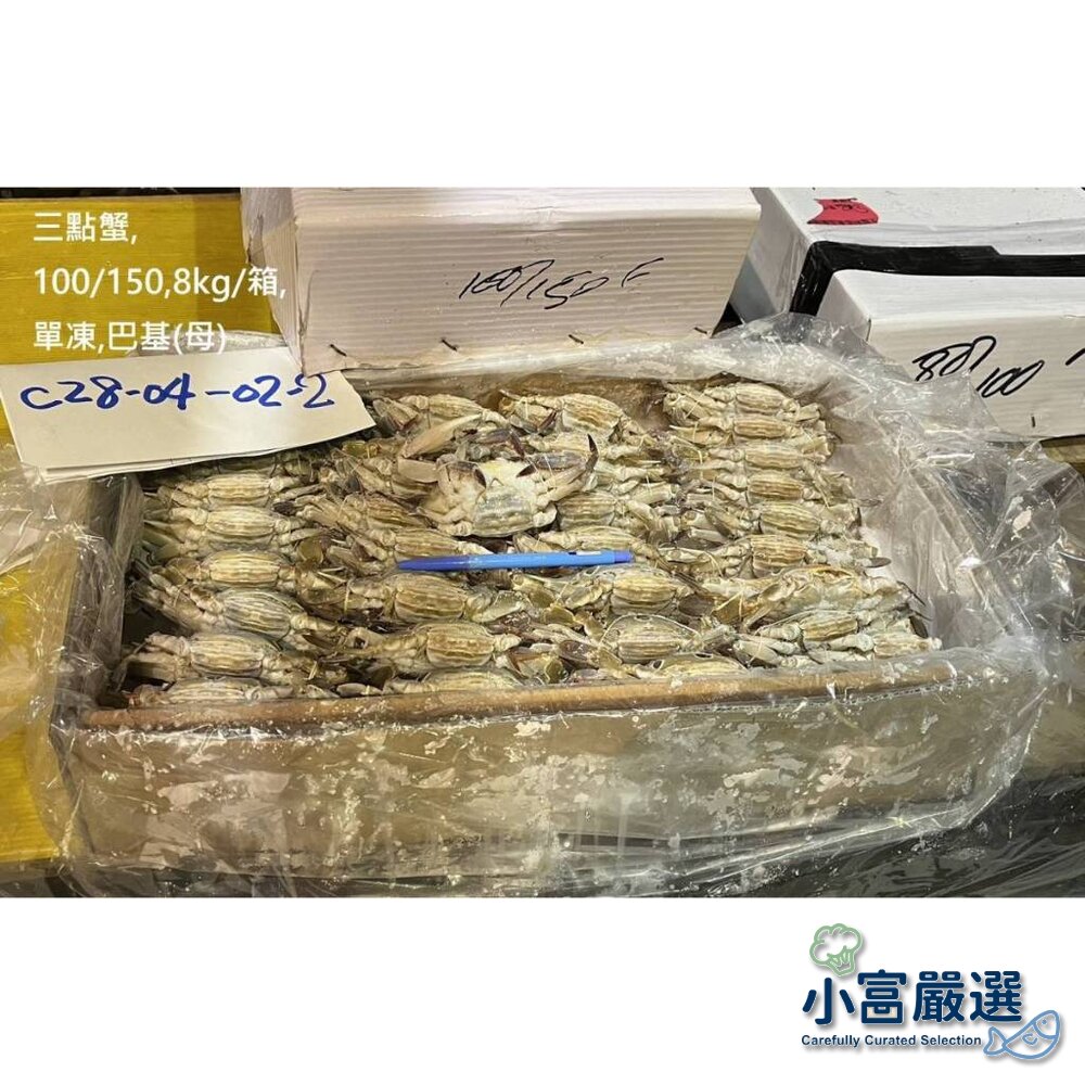 29801277089-螃蟹龍蝦類-三點蟹-萬里蟹(名稱不是產地) 母的.規格100/150/特價147/台斤