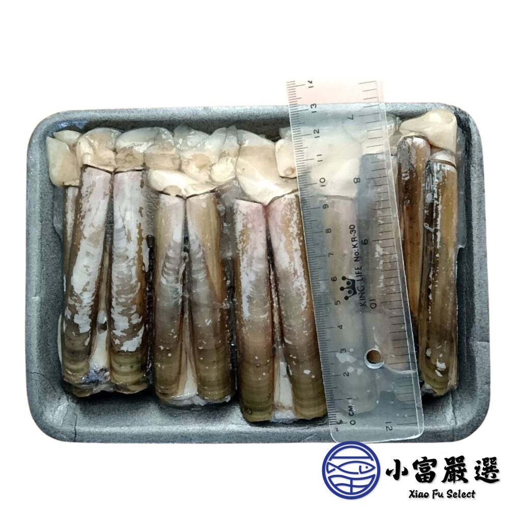 野生活凍竹蛤 去臟竹蛤 竹蟶 蘆筍貝(500克/裝) 最後六包 特價150-圖片-1