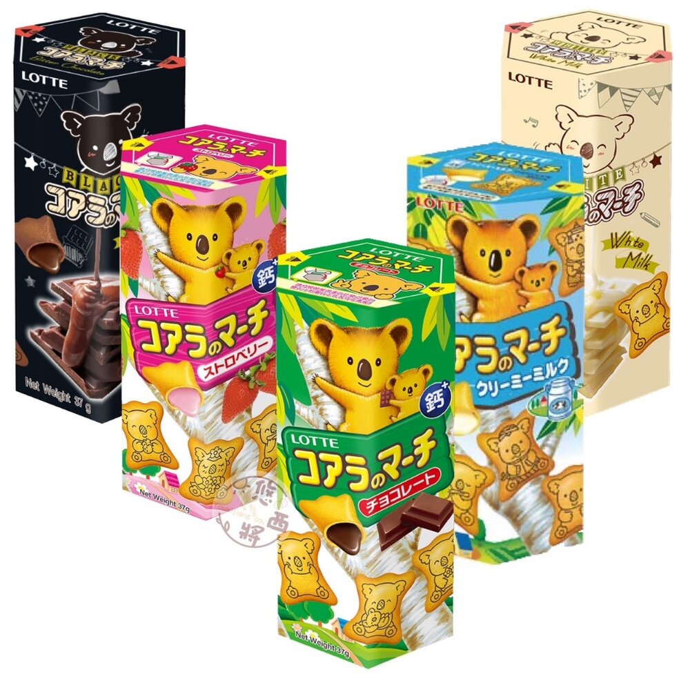 樂天 LOTTE 小熊餅乾 盒裝 巧克力風味 草莓風味 牛奶風味 濃黑巧克力 香濃煉乳 可可 無尾熊-圖片-1